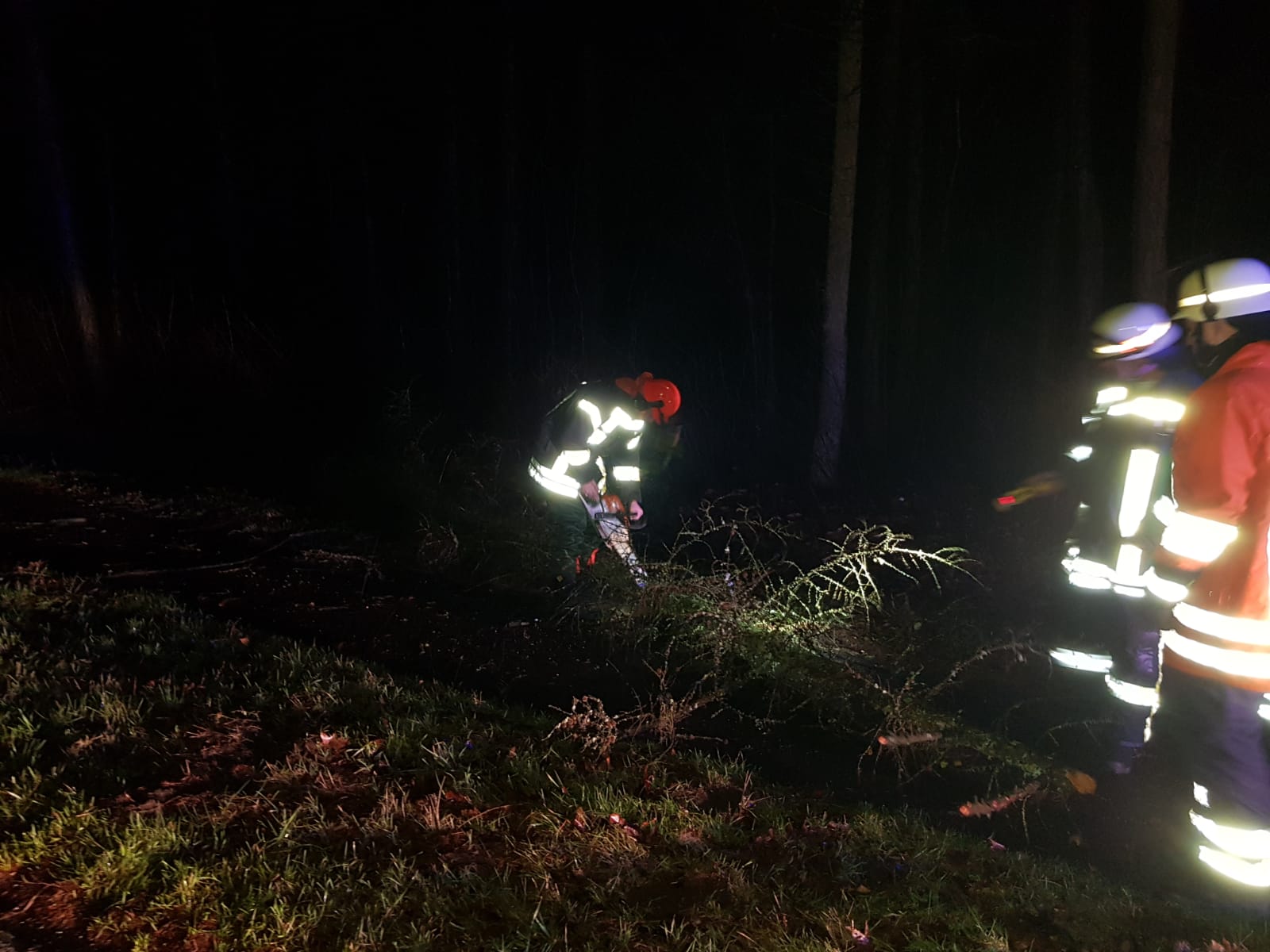 Hilfeleistung Baum Hilfeleistung Baum